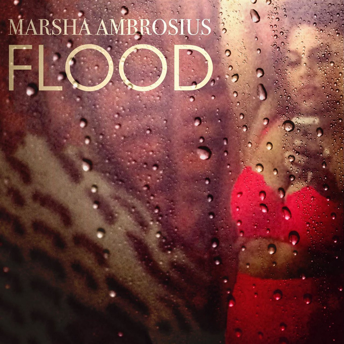 Marsha Ambrosius Flood